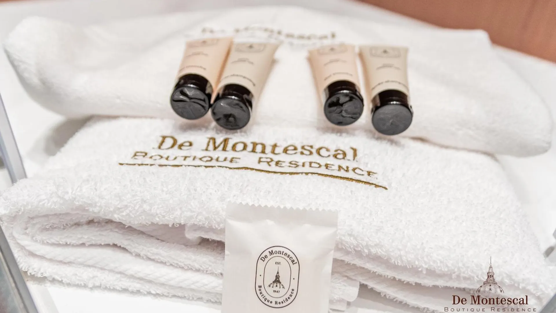 De Montescal- Montparnasse Central With Ac 11 To 14M2 Studio In A Prime Location 파리